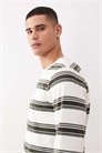 Плейстоу — полосатая приталенная футболка артикул 153116540