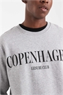 Толстовка с принтом на груди в стиле Копенгагена артикул 150045357