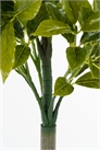 Искусственное растение лавровое дерево артикул 1305975001