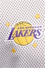 Футболка LA Lakers из сетчатого материала с принтом артикул 154890541