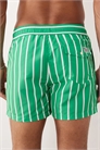 Плавки в полоску «Traveler» артикул 154151725