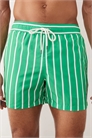 Плавки в полоску «Traveler» артикул 154151725